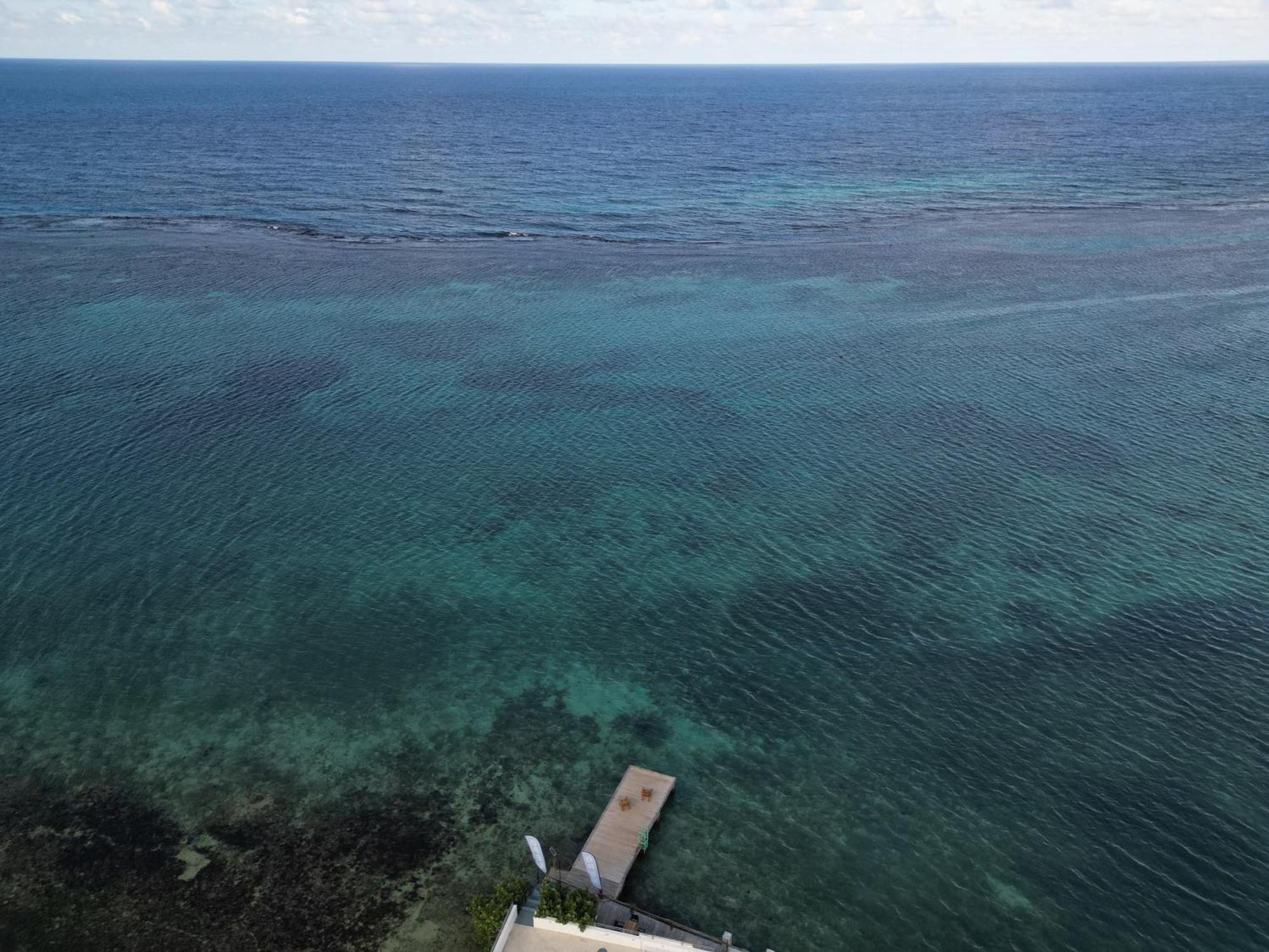 ホテル Ocean Palms オーチョ・リオス エクステリア 写真
